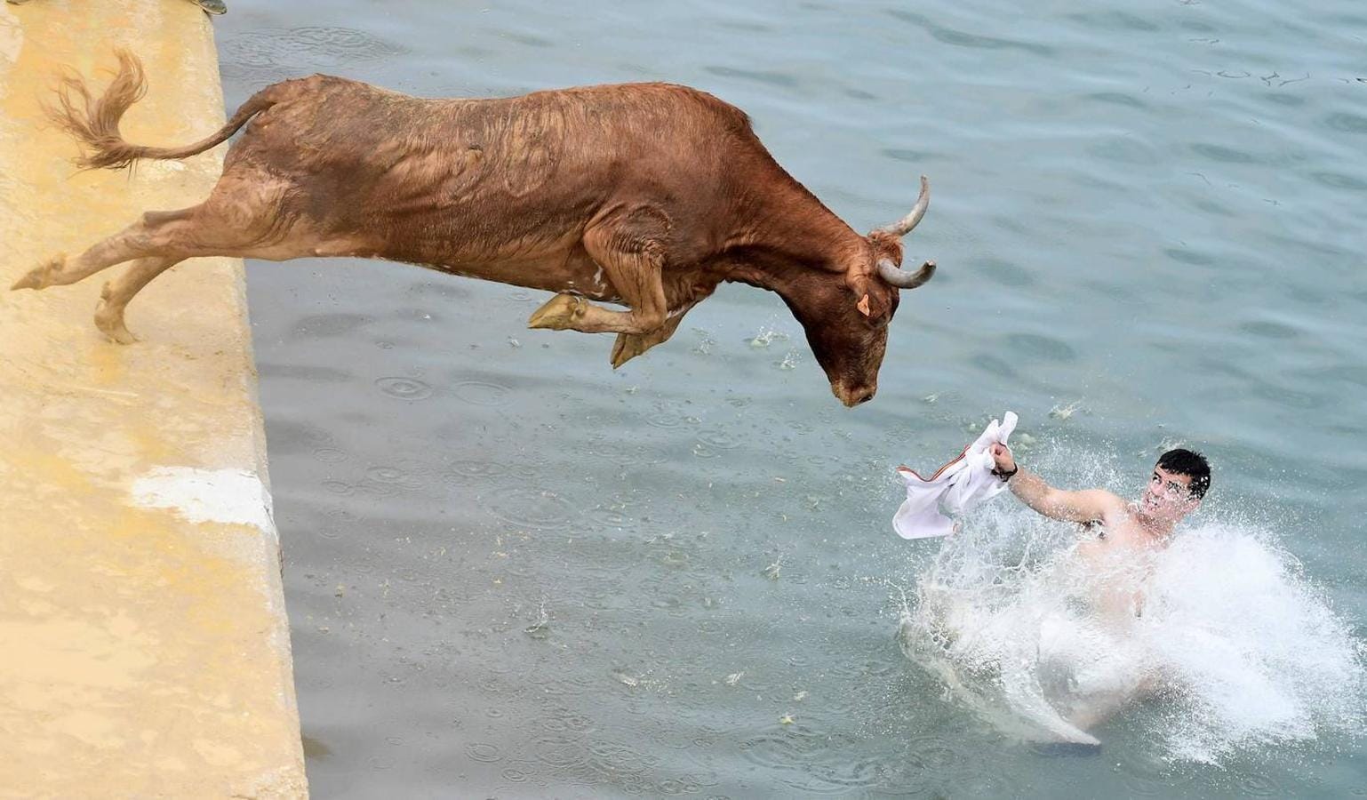 Las actividades durante la corrida tradicional de toros «Bous a la mar»(toros en el mar) en el puerto de Denia, cerca de Alicante, el 8 de julio de 2019. 