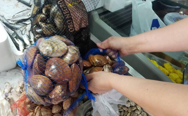 El caladero de la Axarquía está cerrado para la caputura de concha fina, coquina y chirla. 