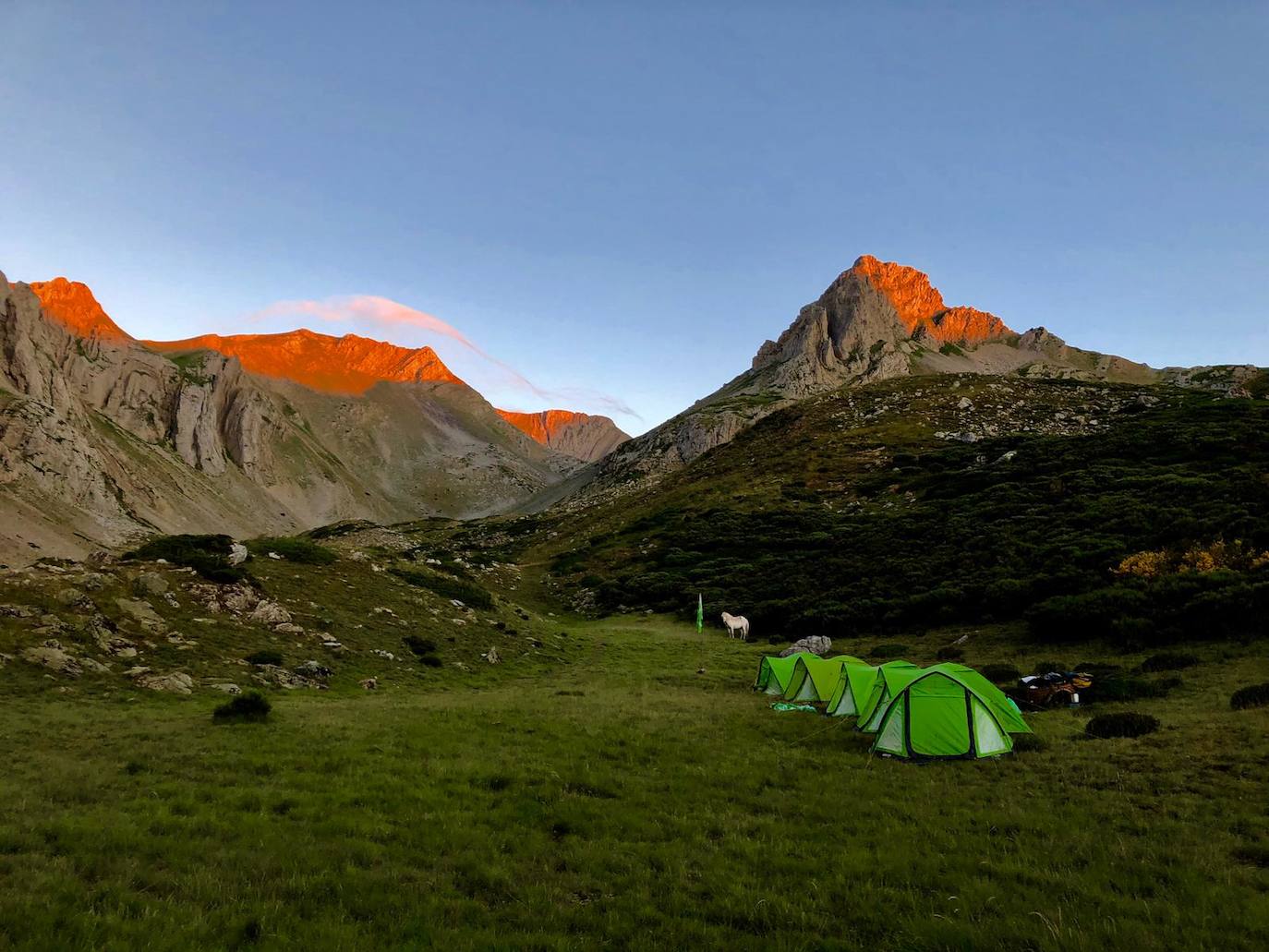 Cinco jóvenes malagueños que han superado el cáncer concluyen la 'Primera Aventura Trashumante entre Lobos y Mastines'