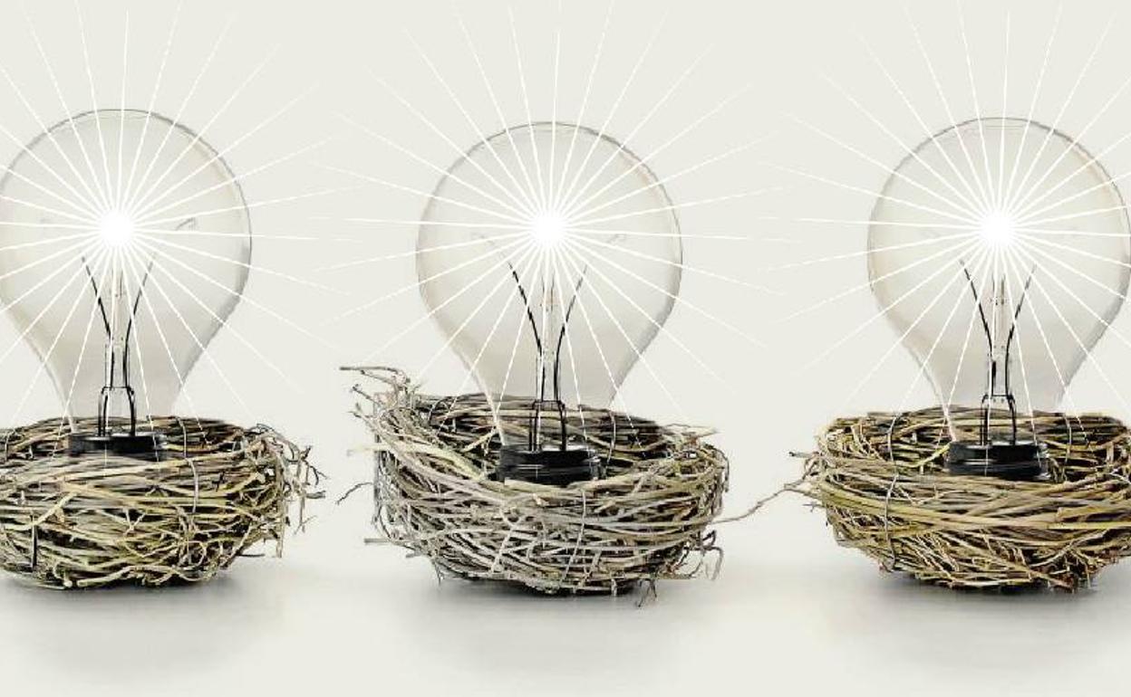 Málaga, un ecosistema para alumbrar empresas