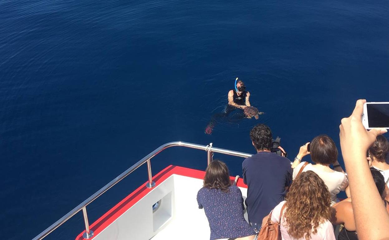 El biólogo del Aula del Mar deja en libertad a 'Cacahuete'. 