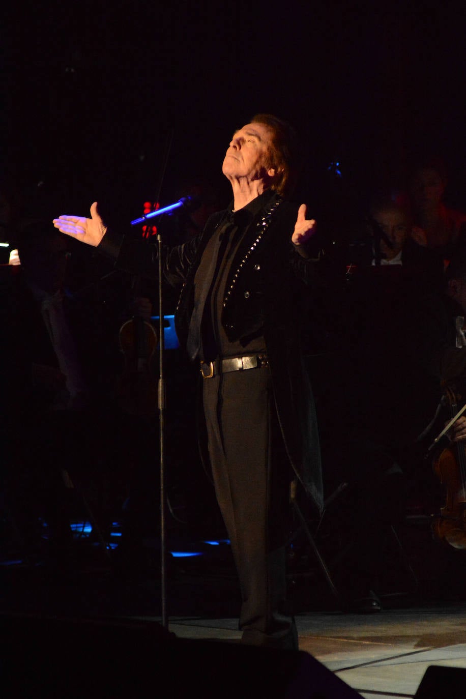 El cantante volvió al auditorio marbellí en una velada única que hizo disfrutar a un público entregado