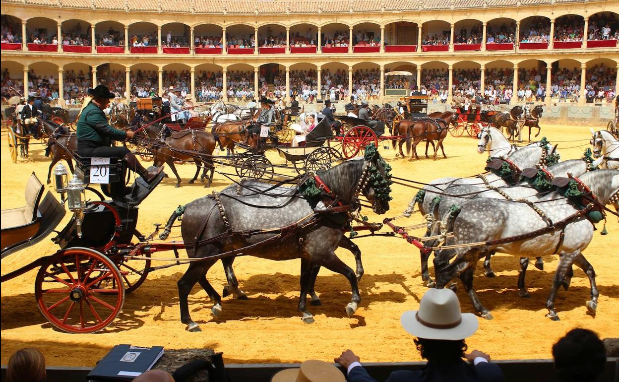 Ronda se queda sin su tradicional concurso de enganches