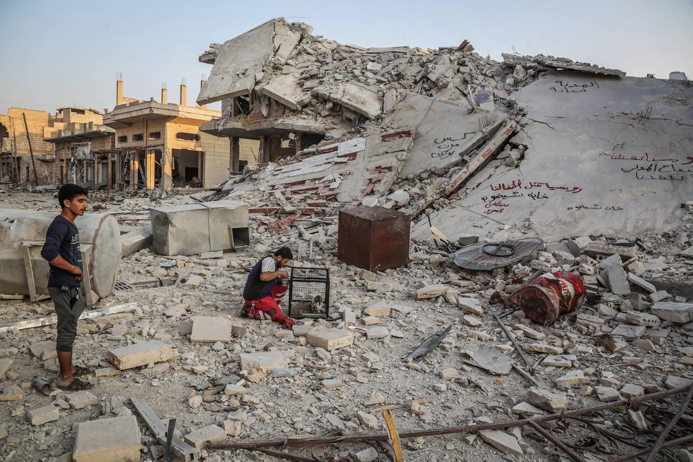 Durante la guerra siria en 2012, Al-Jaleel trabajaba como conductor de ambulancia en Alepo y solía dejar comida para gatos callejeros y abandonados. En 2015 comenzó a buscar gatos vivos en las zonas devastadas por la guerra para llevarlos a casa. Su trabajo con los animales se volvió viral y, con la ayuda de la italiana Alessandra Abidin, comenzó a recaudar fondos para servir construir «La casa de los gatos Ernesto». Además de más de 200 gatos, ahora el santuario tiene perros, monos, conejos y otros animales.