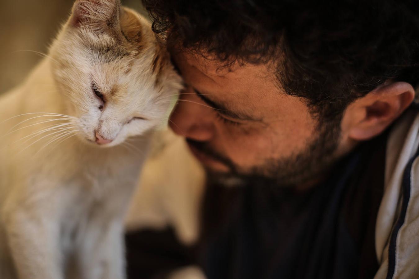 Durante la guerra siria en 2012, Al-Jaleel trabajaba como conductor de ambulancia en Alepo y solía dejar comida para gatos callejeros y abandonados. En 2015 comenzó a buscar gatos vivos en las zonas devastadas por la guerra para llevarlos a casa. Su trabajo con los animales se volvió viral y, con la ayuda de la italiana Alessandra Abidin, comenzó a recaudar fondos para servir construir «La casa de los gatos Ernesto». Además de más de 200 gatos, ahora el santuario tiene perros, monos, conejos y otros animales.