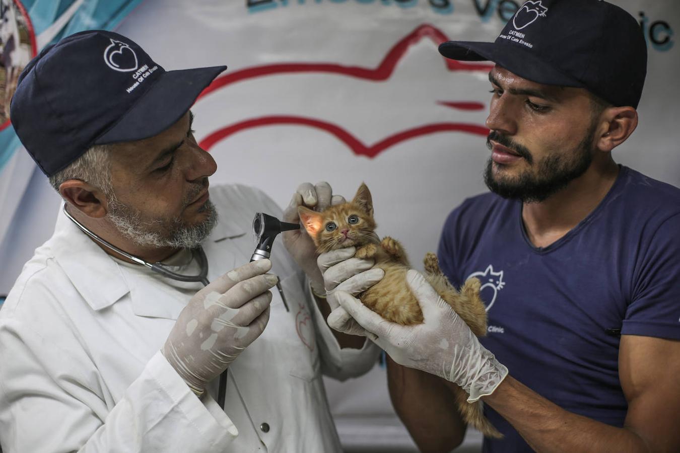 Durante la guerra siria en 2012, Al-Jaleel trabajaba como conductor de ambulancia en Alepo y solía dejar comida para gatos callejeros y abandonados. En 2015 comenzó a buscar gatos vivos en las zonas devastadas por la guerra para llevarlos a casa. Su trabajo con los animales se volvió viral y, con la ayuda de la italiana Alessandra Abidin, comenzó a recaudar fondos para servir construir «La casa de los gatos Ernesto». Además de más de 200 gatos, ahora el santuario tiene perros, monos, conejos y otros animales.