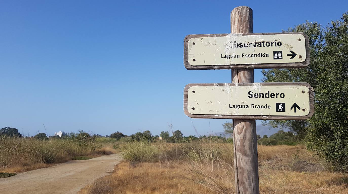 El paraje natural de la Desembocadura del Guadalhorce constituye un ejemplo de bioversidad única en Europa. En ningún otro sitio se pueden ver 270 especies de aves en un espacio tan reducido.