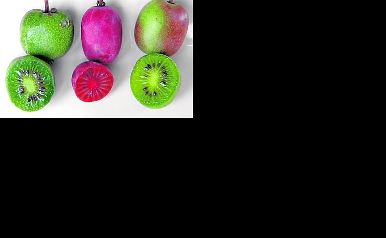 Ejemplos de kiwiberry. 