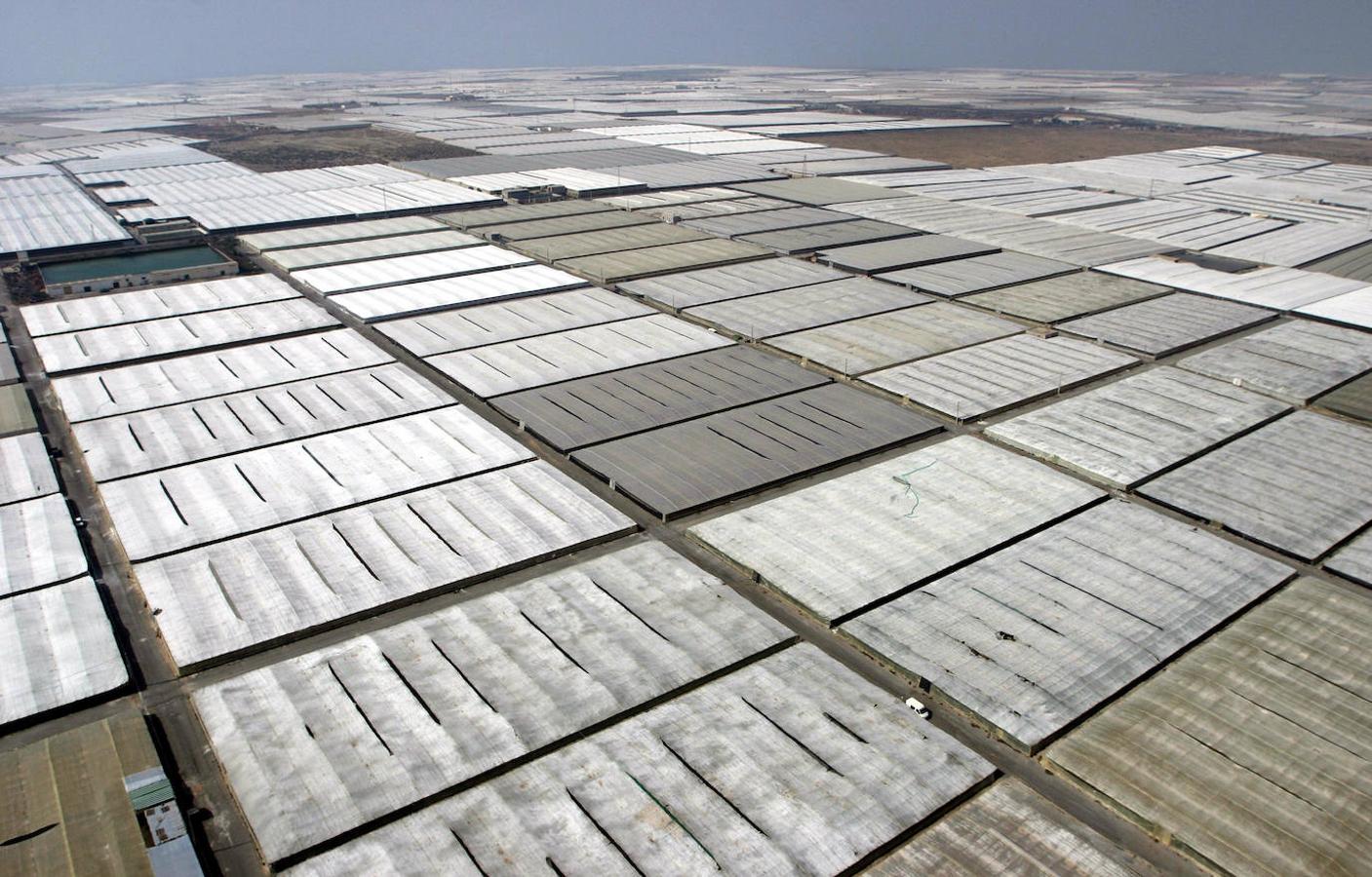 El Panel Intergubernamental para el Cambio Climático (IPCC) de la ONU ha presentado en Ginebra el informe científico más completo sobre el calentamiento global. El IPCC apunta a que hacen falta cambios profundos en sectores como el de la producción de alimentos mundial y la gestión de los suelos, entre otros aspectos, para así salvar el planeta.