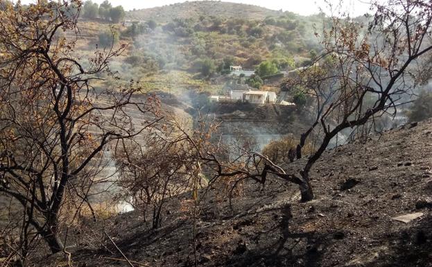 Imagen principal - Imagen del incendio registrado en Torrox. 