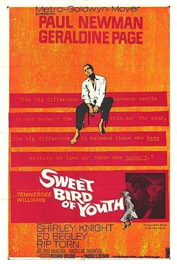 Dulce pájaro de juventud. Sweet Bird of Youth: Geraldine Page estuvo a punto de ganar el Oscar, aunque el filme de Richard Brooks siempre será recordado por su melancólico título