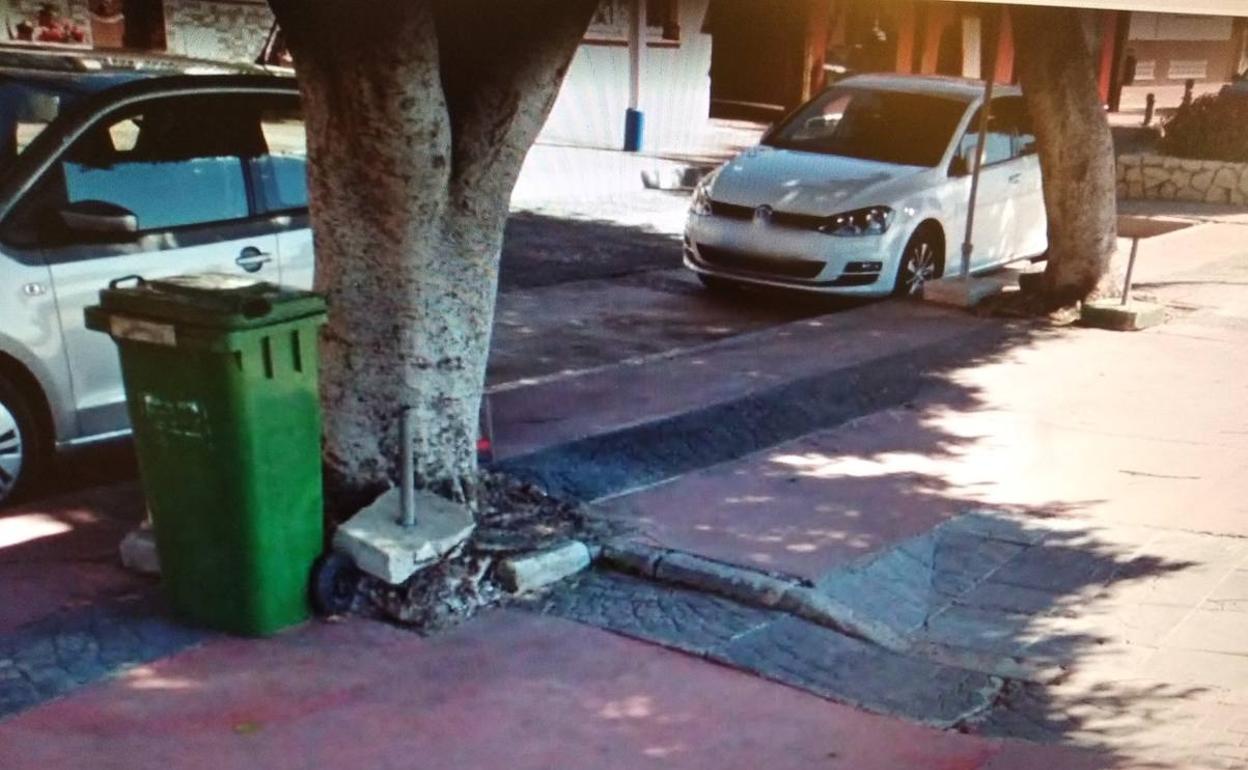 Alcorque levantado en el paseo martítimo.