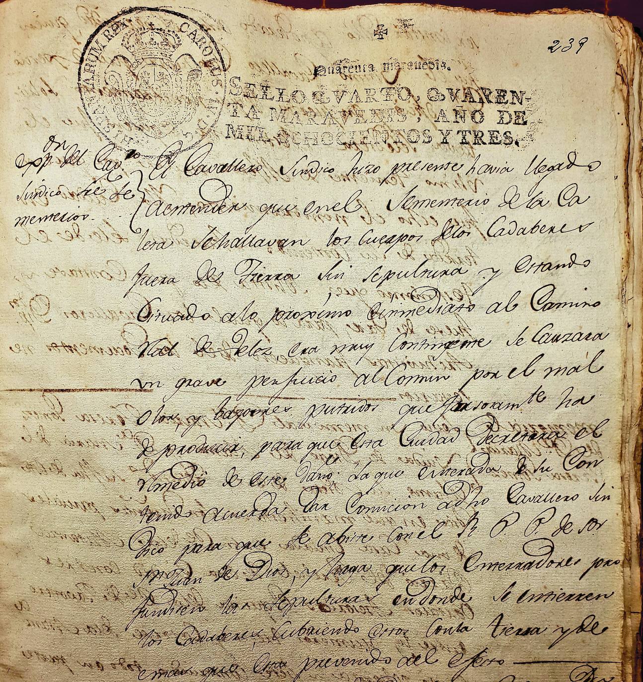 Denuncia sobre el estado del cementerio de la Caleta en 1803.
