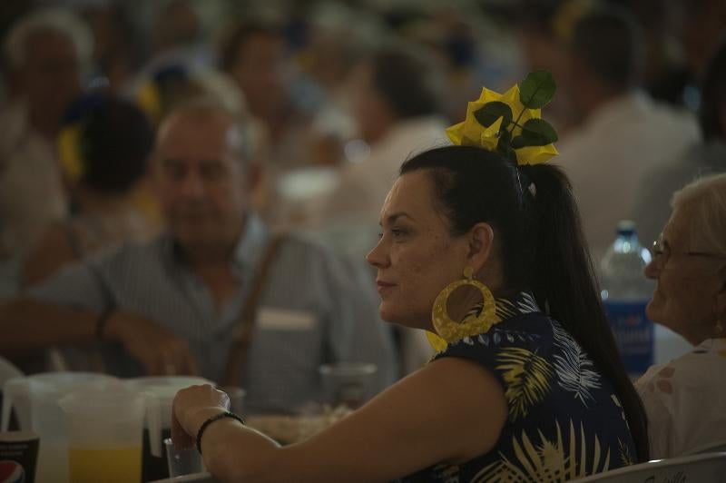Cortijo de Torres vive cada noche una fiesta continua en el que la tradición se une con los ritmos más modernos y donde las atracciones hacen las delicias de grandes y pequeños.