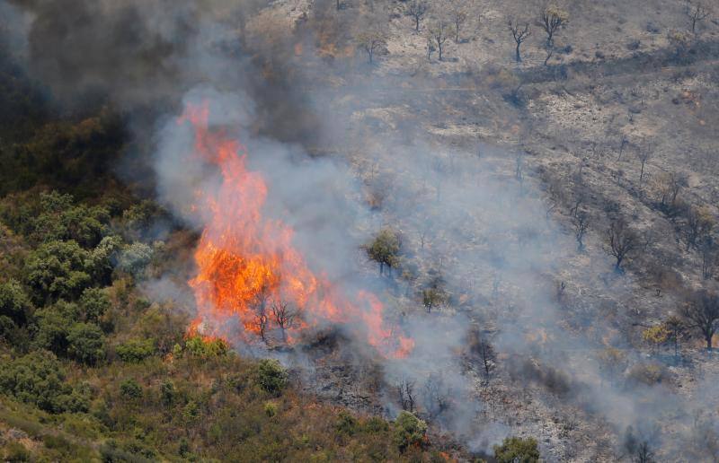 El fuego se originó en el paraje de Peñas Blancas. 