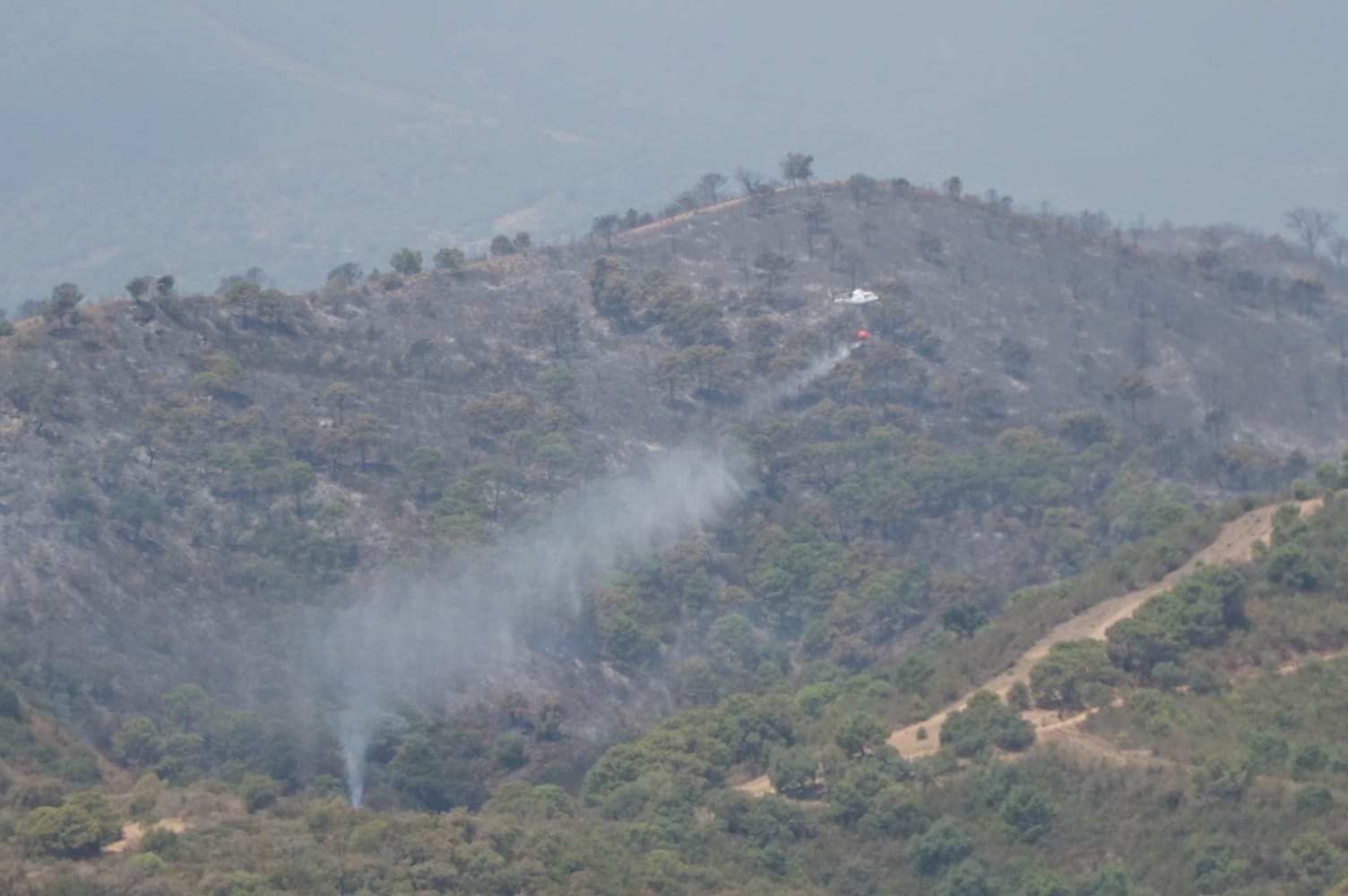 Imagen secundaria 1 - El incendio de Estepona ha calcinado ya 300 hectáreas pero algunos vecinos ya regresan a sus casas