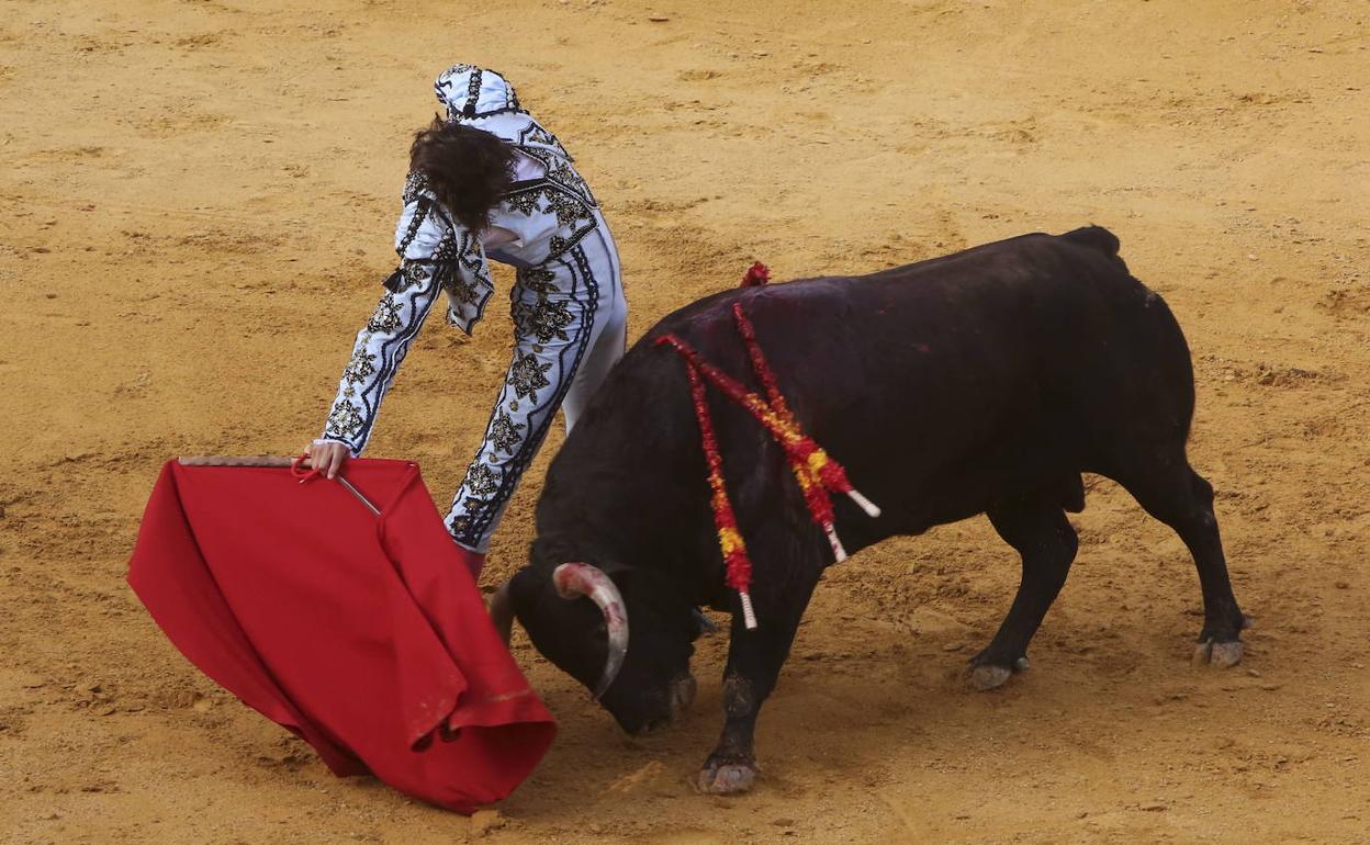 Roca Rey no estará en la Goyesca de Ronda