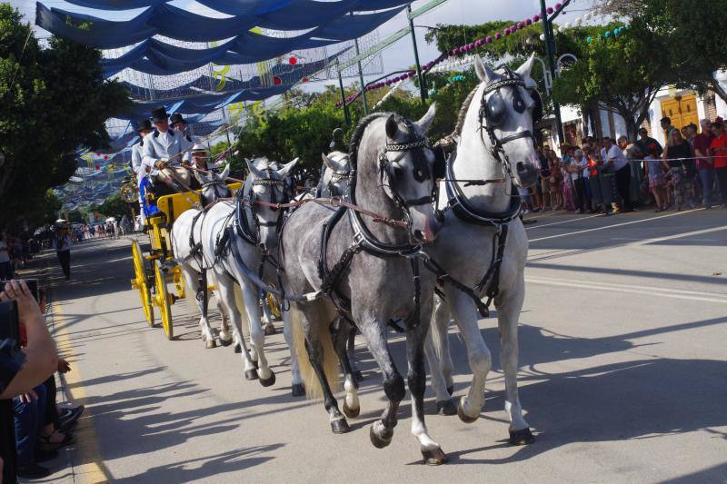 El recinto ferial acoge el certamen, que hasta ahora se había celebrado en La Malagueta. 