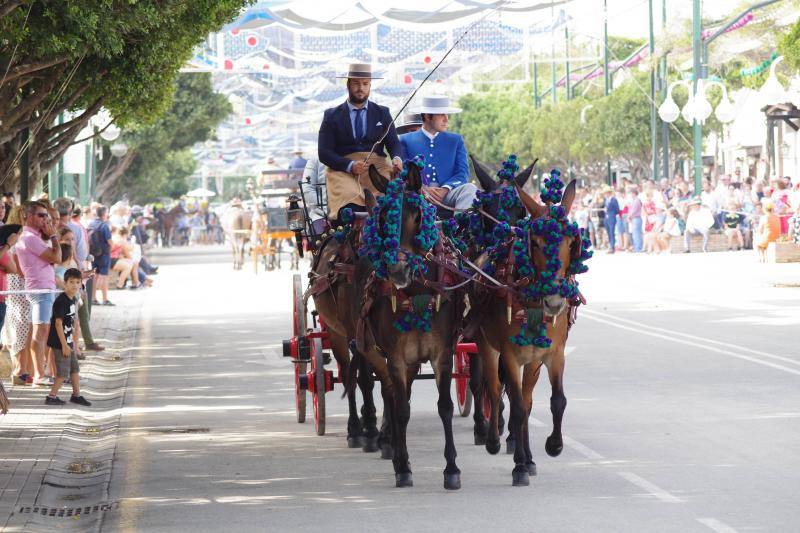 El recinto ferial acoge el certamen, que hasta ahora se había celebrado en La Malagueta. 