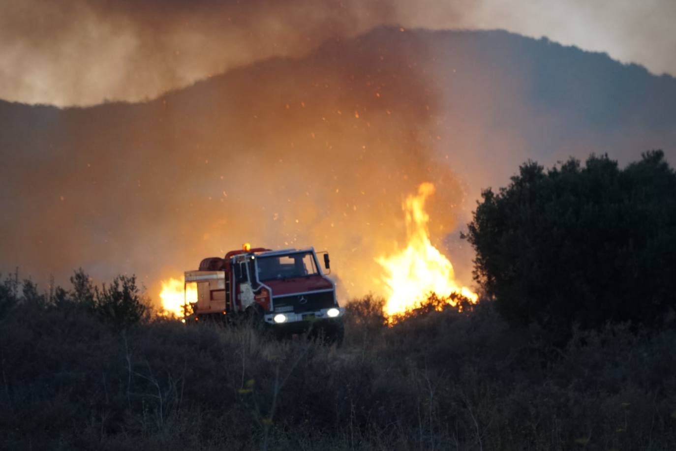 El fuego se originó en la zona conocida como Altos de Marbella. 