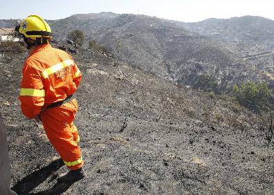 Imagen secundaria 1 - Los incendios más devastadores de la década en Málaga