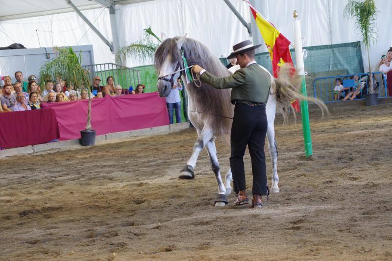 Miles de personas apuran las últimas horas de fiesta tanto en el Centro como en el Real. 