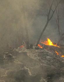 Imagen secundaria 2 - Controlado el incendio forestal en el paraje Los Monteros de Marbella