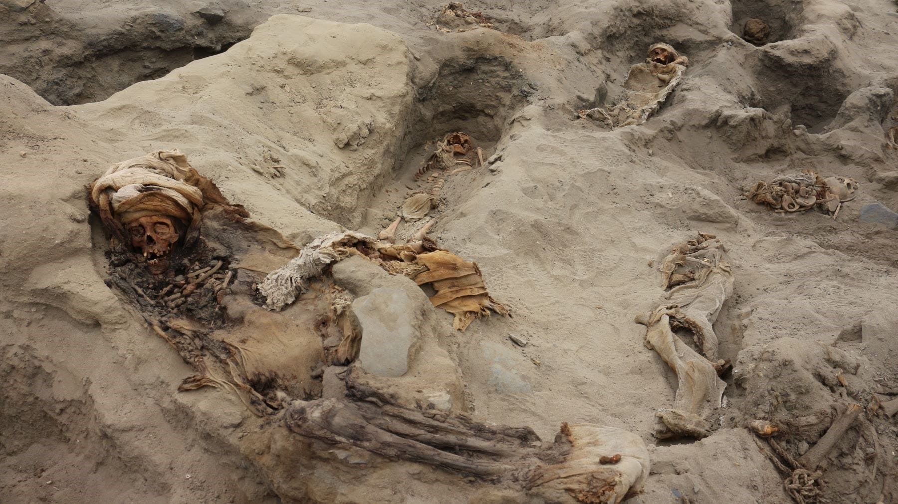 Fotografía que muestra esqueletos de 364 niños ejecutados en un lapso de unos 100 o 150 años.