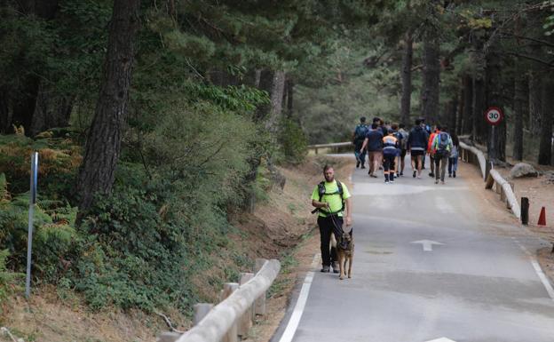 Un grupo de voluntarios peinan la zona de búsqueda.