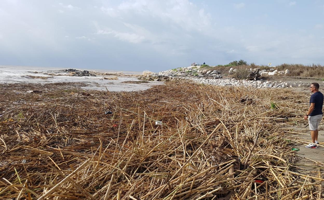 Está es la imagen que presenta la desembocadura del río Guadalhorce 