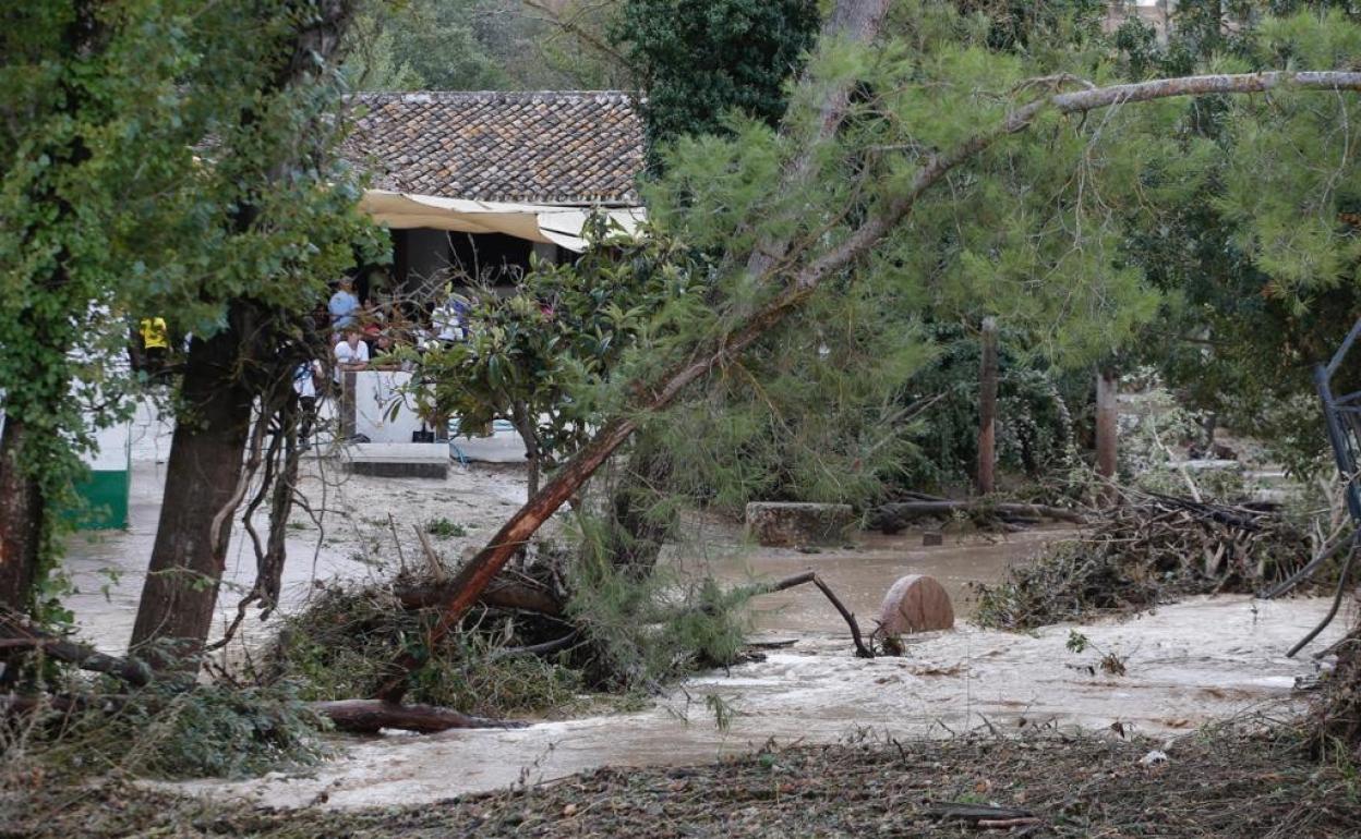 Cincuenta personas, diez de ellas menores, incomunicadas en una zona de campamentos en Archidona