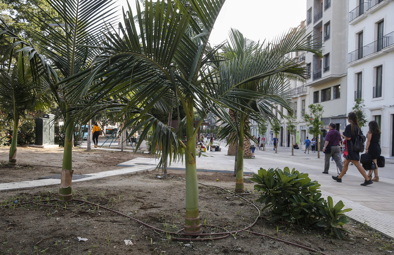 Se reabre esta arteria malagueña: un gran salón peatonal