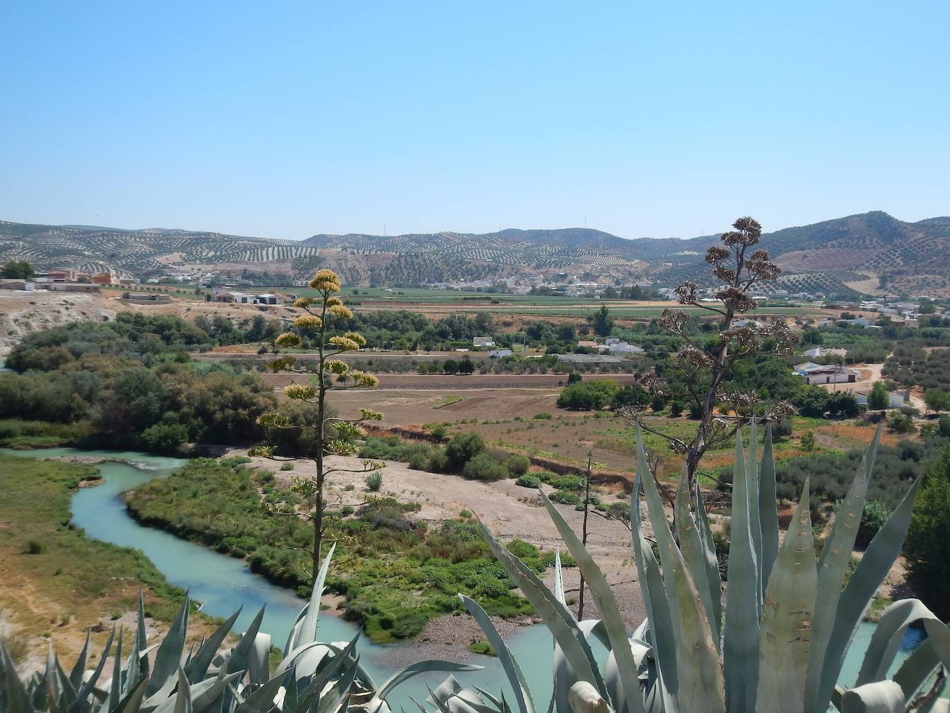 Vista de la ribera del Genil, entre Badolatosa y Jauja