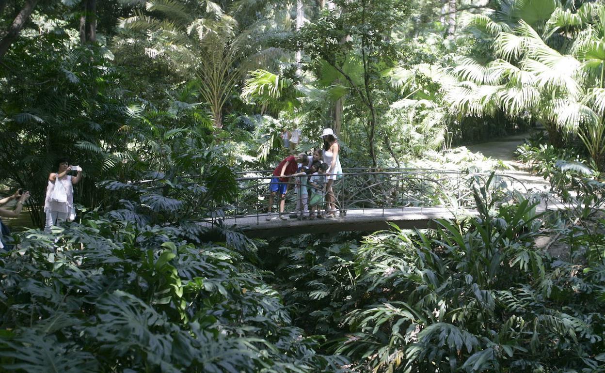 El jardín La Concepción, entre los espacios de Málaga que se suman a la celebración del Día del Turismo. 