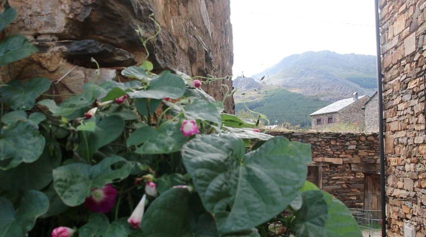 Valverde de los Arroyos, Guadalajara.