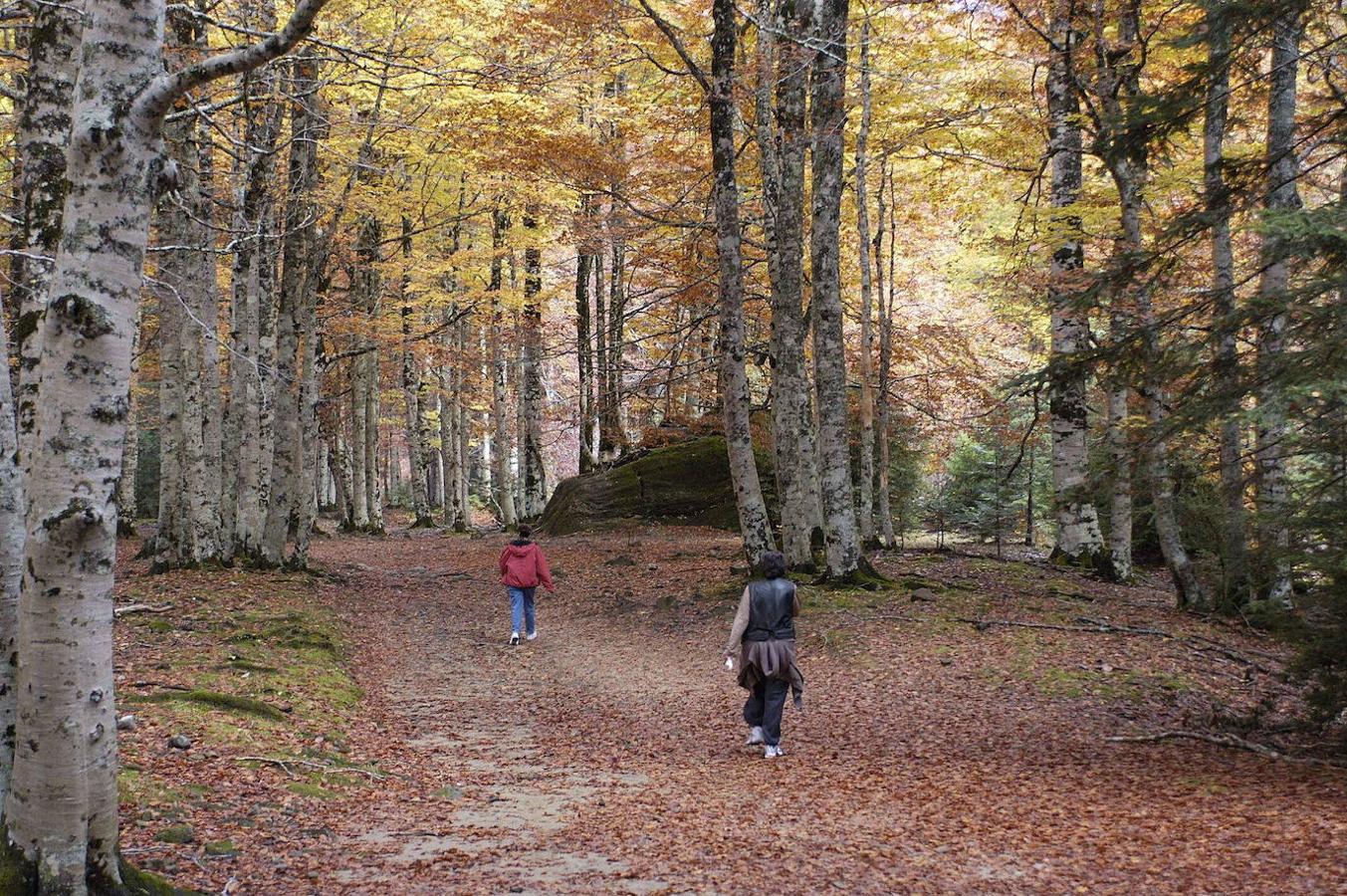 Valle de Ordesa (Huesca).