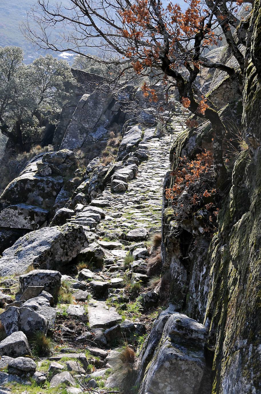 Valle del Jerte (Extremadura).