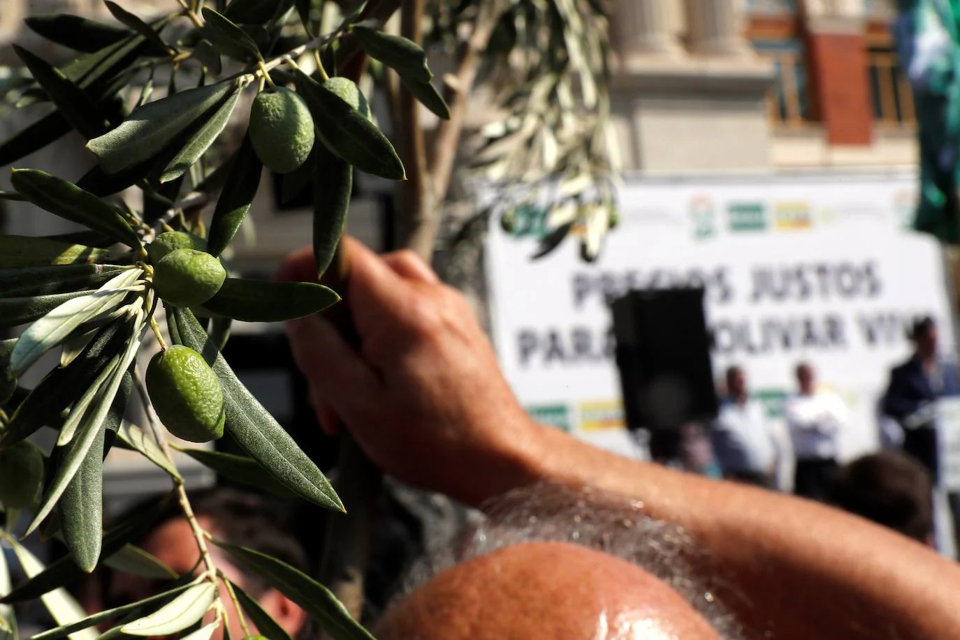 Fotos: En imágenes, la manifestación celebrada este jueves en Madrid bajo el lema &#039;Precios justos para un olivar vivo&#039;