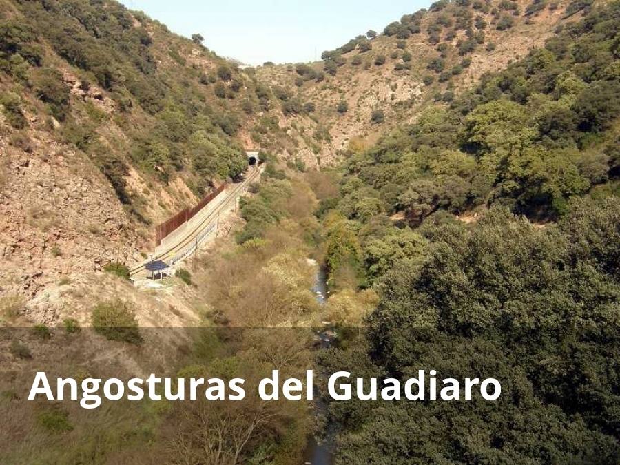 Desde la Estación de Benaoján hasta Jimera de Líbar aguarda una de las rutas más espectaculares de la provincia de Málaga, que hoy es la etapa 13 de la Gran Senda de Málaga. Entre otros motivos, no hay que perderse este recorrido a pie por el enclave de las Angosturas, que es una bonita garganta caliza por la que discurre el río Guadiaro. Este camino va en paralelo tanto con el río como con la vía del tren. No habrá que confundir con el antes citado cañón de las Buitreras del Guadiaro, que se encuentra mucho má abajo en el curso del mismo río.