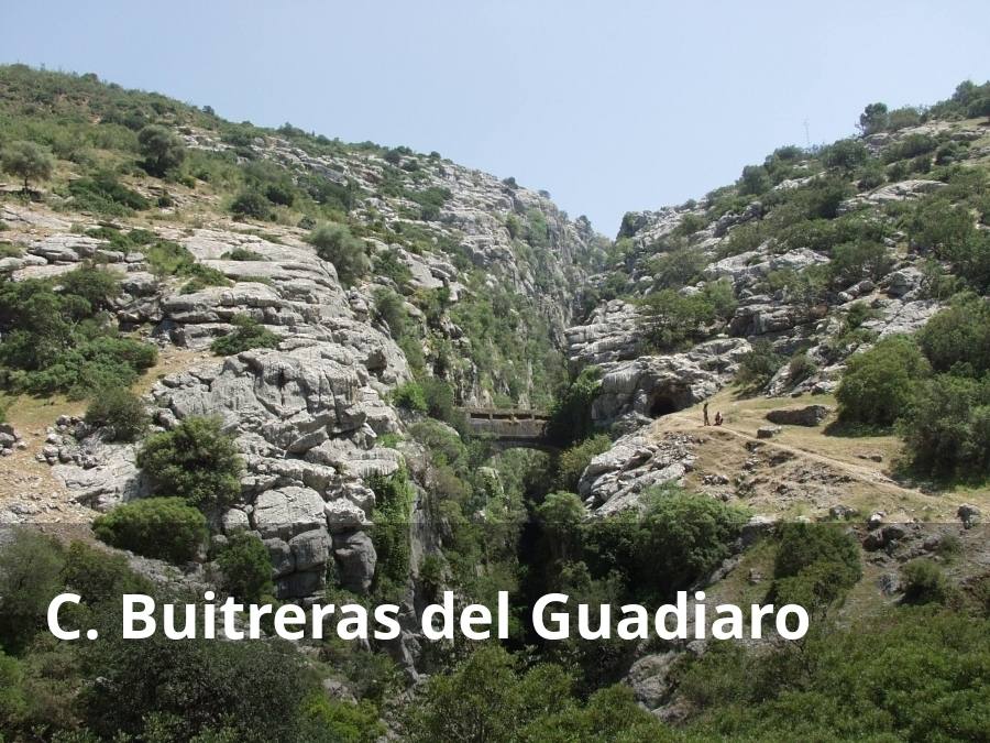 La espectacular orografía de este valle tiene uno de sus mejores exponentes en la garganta caliza de Las Buitreras del río Guadiaro, un cañón de impresionantes dimensiones, catalogado como Monumento Natural de Andalucía. Se trata de un insólito desfiladero, fruto de la erosión del propio río, que atraviesa estas angosturas para encaminar sus aguas hacia la provincia de Cádiz. Esta formación vertical alcanza los cien metros de altitud y apenas cuenta con un metro de anchura en algunos tramos. El conjunto kárstico tiene un gran valor desde el punto de vista geológico, ya que una de sus paredes verticales tiene su origen en la era jurásica, es decir, hace millones de años. Para contemplar estos espectaculares cortantes, hay dos opciones recomendables, ir hasta el denominado 'Puente de los Alemanes', o buscar una perspectiva desde la zona más alta del desfiladero, tomando, en ambos casos, las máximas precauciones posibles.