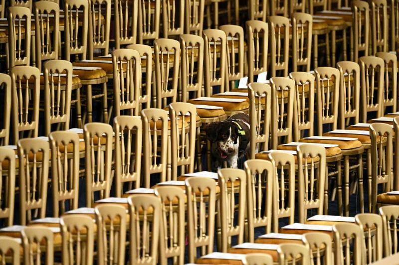 La monarca inaugura el nuevo curso de la cámara en plena incertidumbre por el Brexit