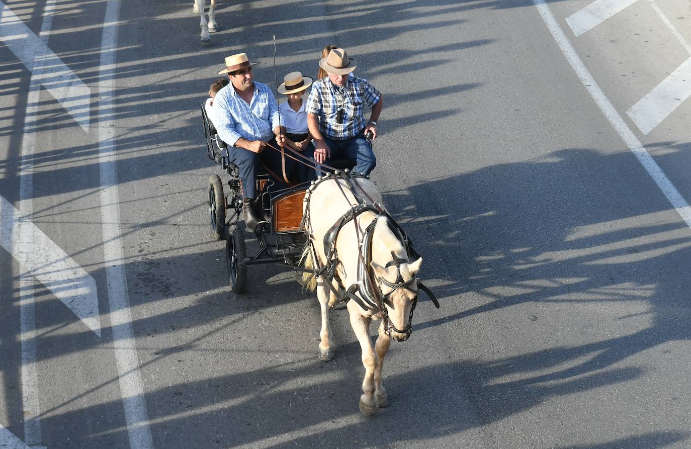 La Feria de San Pedro 2019 se celebrará hasta el domingo 