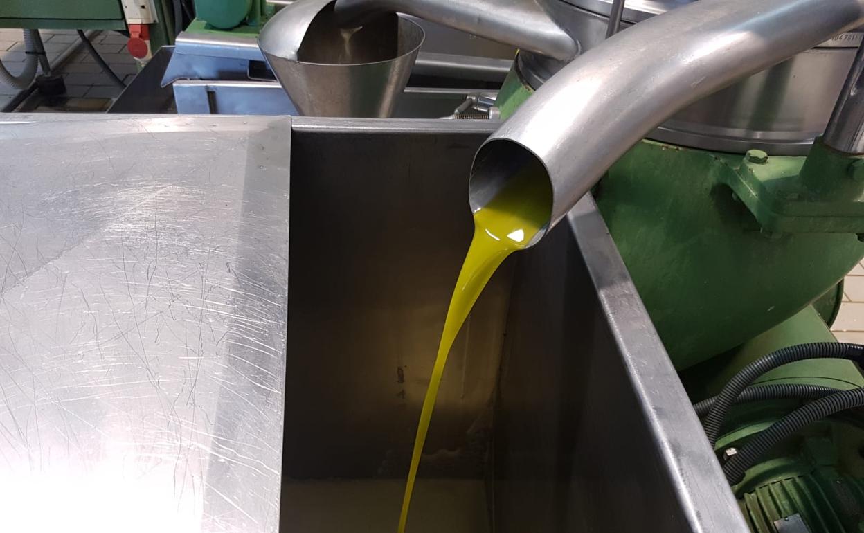 El aceite de oliva envasado, entre los productos malagueños afectados por los aranceles de EE UU. 