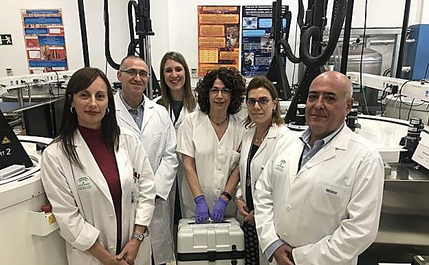 Equipo que ha trabajado en la creación de este banco en Málaga.