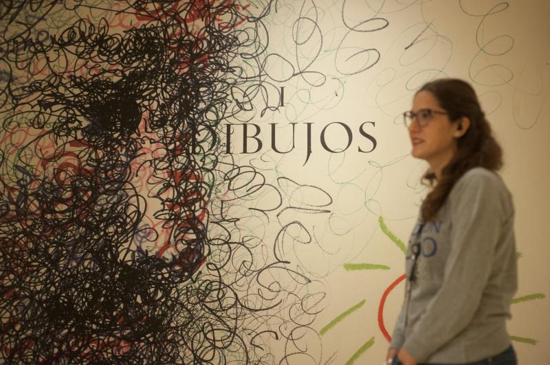 Exposición 'Exilio y nostalgia' en la Casa Natal de Picasso 