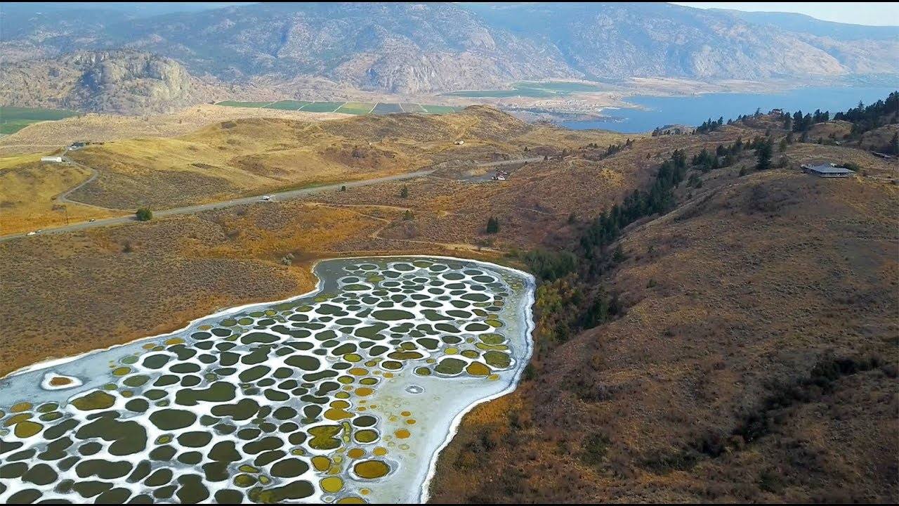 Spotted Lake (Canadá) | Sus formas geométricas cambian de color por su riqueza mineral y antiguamente era considerado como un lugar con propiedades terapéuticas.