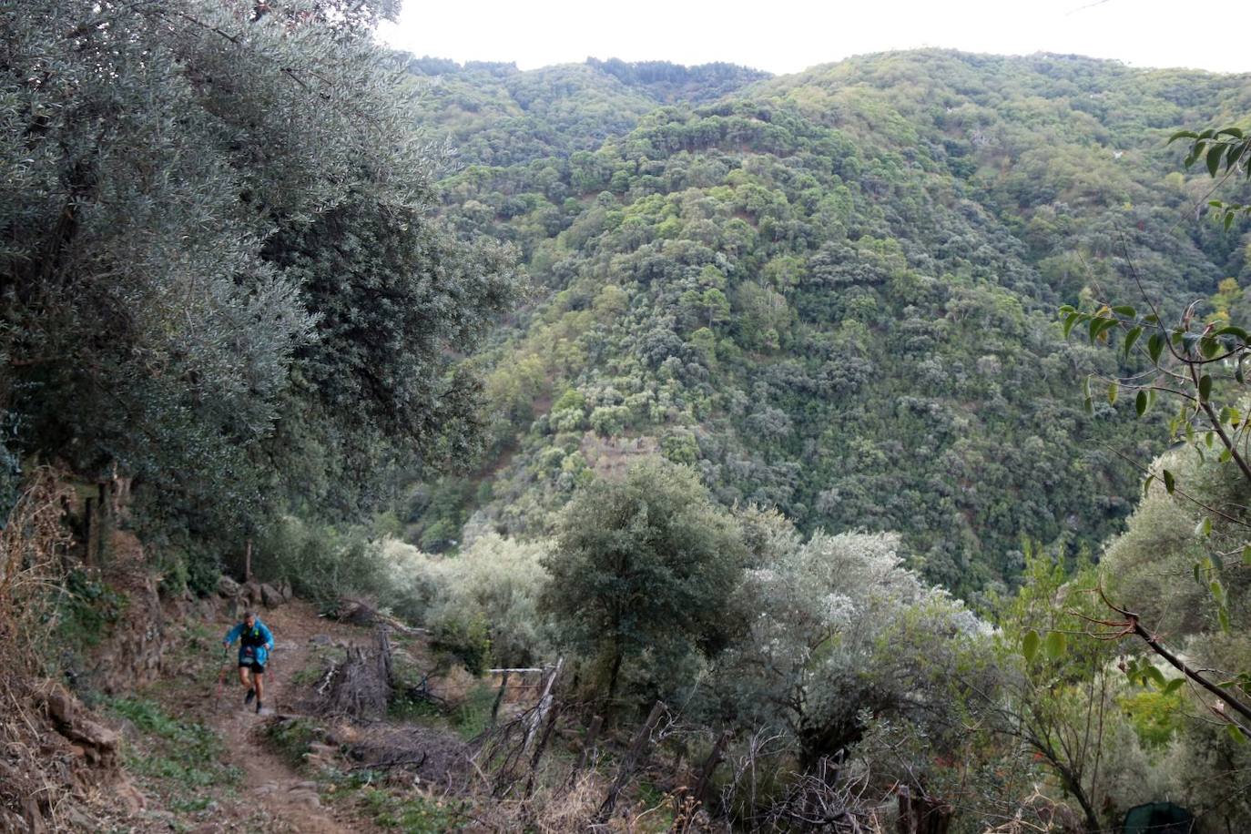 Las pruebas de las 100 millas y la categoría Ultra de la Gran Vuelta congregan a cientos de deportistas de pueblo en pueblo este sábado