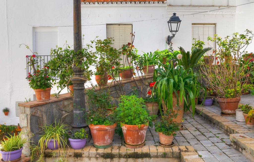 «Por si fuera poco las casas encaladas, las calles adornadas de flores, y la naturaleza radiante en plena Sierra de las Nieves, Tolox tiene un añadido más a su encanto. Desde hace tres años, se encuentran en sus calles las muestras de arte que dejan los artistas en los encuentros Art-Tolox. Nos damos una vuelta por las calles del pueblo, a encontrarnos con ese museo al aire libre, y más tarde paseamos por su entorno, para encontrarnos con ese arte natural»