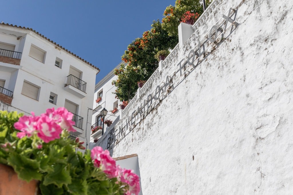 «Por si fuera poco las casas encaladas, las calles adornadas de flores, y la naturaleza radiante en plena Sierra de las Nieves, Tolox tiene un añadido más a su encanto. Desde hace tres años, se encuentran en sus calles las muestras de arte que dejan los artistas en los encuentros Art-Tolox. Nos damos una vuelta por las calles del pueblo, a encontrarnos con ese museo al aire libre, y más tarde paseamos por su entorno, para encontrarnos con ese arte natural»