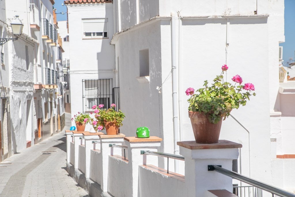 «Por si fuera poco las casas encaladas, las calles adornadas de flores, y la naturaleza radiante en plena Sierra de las Nieves, Tolox tiene un añadido más a su encanto. Desde hace tres años, se encuentran en sus calles las muestras de arte que dejan los artistas en los encuentros Art-Tolox. Nos damos una vuelta por las calles del pueblo, a encontrarnos con ese museo al aire libre, y más tarde paseamos por su entorno, para encontrarnos con ese arte natural»